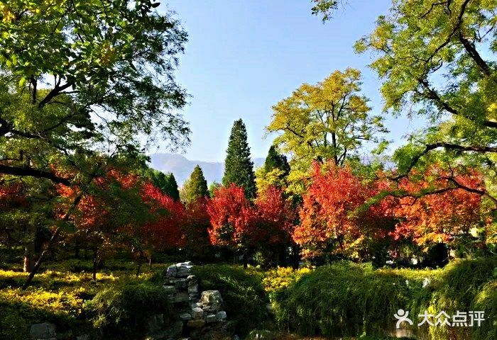 香山公園圖片 - 第25張