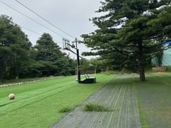 -尚庄度假村·庭台树下·户外烧烤·团建CS·轰趴营地(上庄水库店)