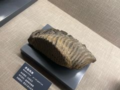 -大庆市博物馆