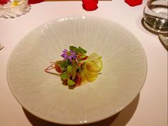 -蝶舍·MAISON PAPILLON