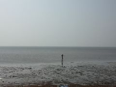 -仙人岛