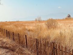 -野鸭湖国家湿地公园