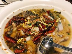 酸菜鱼-赫帝拉航空主题餐厅(南宁店)
