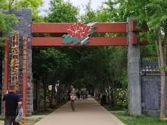 -洛阳市隋唐城遗址植物园