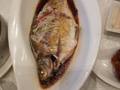 清蒸武昌鱼-亢龙太子酒轩(东湖店)