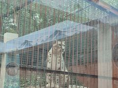 -青藏高原野生动物园