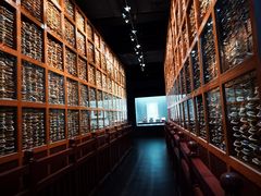 -青海藏文化博物院