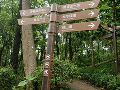 -阳台山森林公园