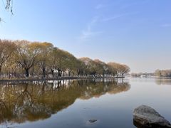 -石家庄市植物园