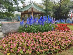 -荔湾湖公园