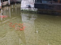 -渝半城经典川粤菜(重庆天地店)