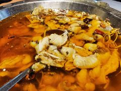 沸腾水煮鱼-新沸腾鱼乡(世贸天阶店)