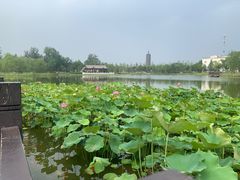 -西海子公园