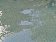 -三江森林温泉度假区