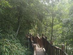 -陶祖圣境风景区