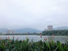 -飞来湖湿地公园