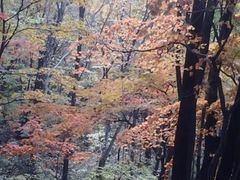 -三块石国家森林公园