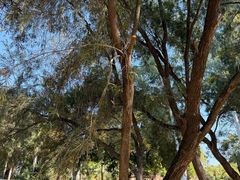 -福建鲤鱼洲酒店