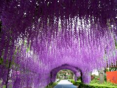 -广东花都香草世界旅游度假区