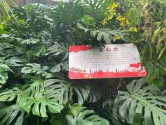 -兰陵国家农业公园