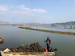 -蚝乡农庄(铁涌赤岸店)