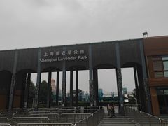 门面-季高兔窝窝亲子园(上海薰衣草公园店)