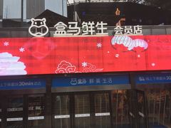 门面-盒马鲜生(杭州运河上街店)