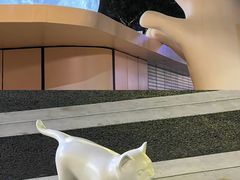 -深圳湾万象城(南山店)