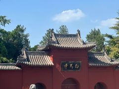 -洛阳白马寺