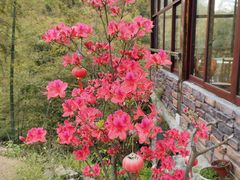 -藏龙百瀑风景区