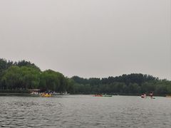 -WhaleSports户外水上运动俱乐部(朝阳公园店)