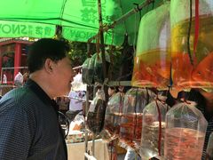 -华声天桥民俗文化园