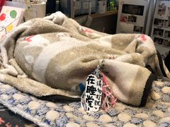 -猫的天空之城概念书店(杭州南宋御街店)