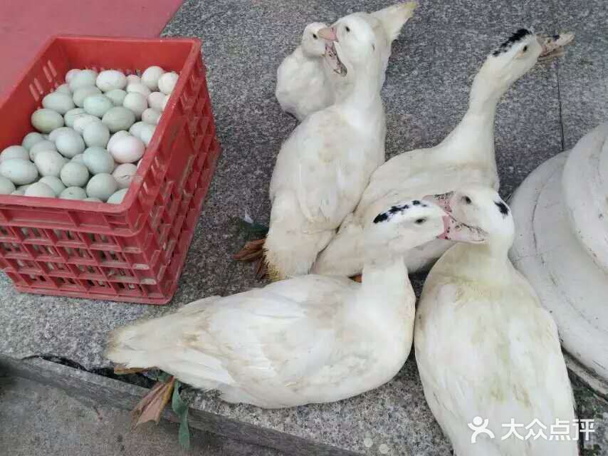 加顺农场餐厅图片