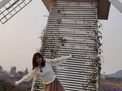 -北京东方普罗旺斯薰衣草庄园