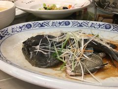 -聚春园自助餐厅(东街口店)