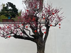 -龙华寺