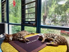 -路路通百辰汽车服务连锁(三合店)