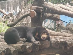 -成都动物园
