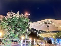 -芸鲜季·云南野生菌餐厅· 云南风物味研社(闵行店)