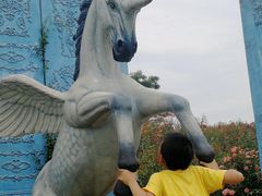 -大塘金香草谷