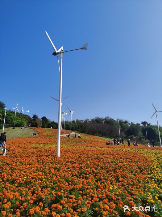 沈阳植物园图片