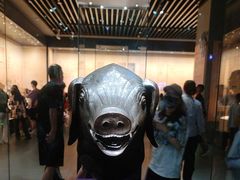 -广西壮族自治区博物馆