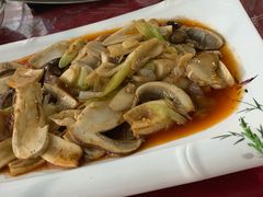 野蘑菇-马白开来特色羊排揪片子  (总店)