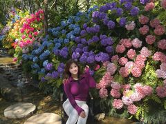 -沂蒙云瀑洞天景区