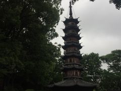 -上海佘山国家森林公园西佘山园