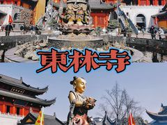 -上海东林寺(金山区)