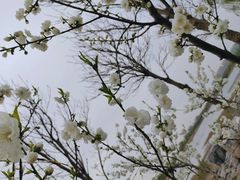 -南海子公园