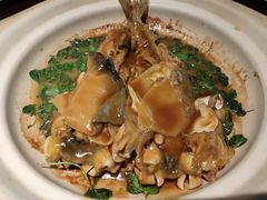 镇江秧草烧豚鱼-永安鱼庄·镇江菜(东吴路店)