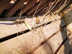 -宁波五龙潭景区